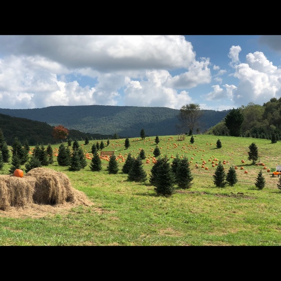 Meet your Posher, Lori - Picture 1 of 1